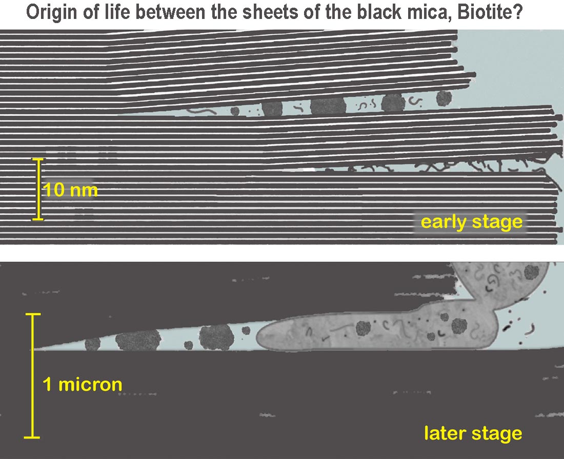 Mica World: Biotite - Black Mica