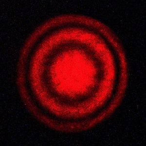 Fringes from Michelson interferometer, central maximum