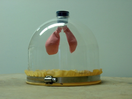 Lung model