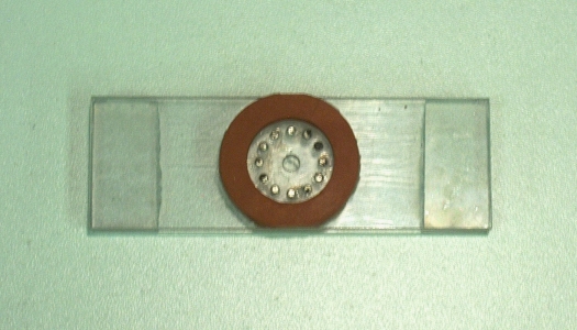Ring of rare-earth magnets with hose washer, fixed to a microsope slide