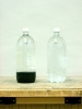 New demonstrations -- Cartesian divers
