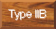 Type IIB